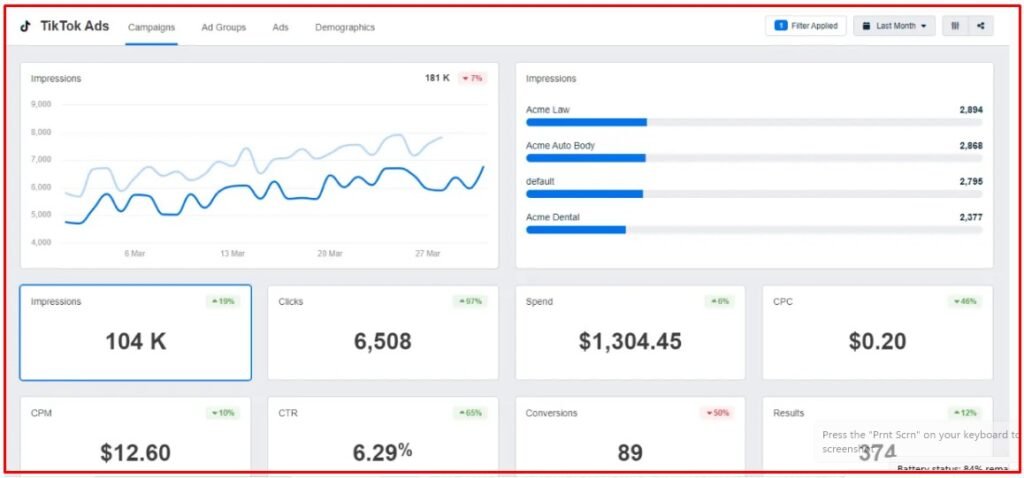 TikTok Ads Management